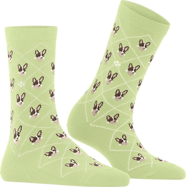 Actual product image Burlington Corgi (Single pack, 36 - 41)