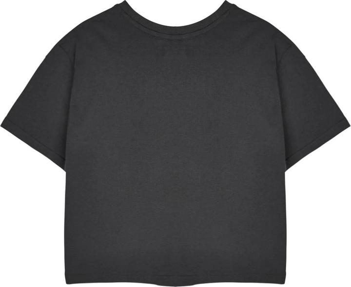 Actual product image The Little Mermaid Womens/Ladies Ariel Bubbles Short-Sleeved Crop Top (L)