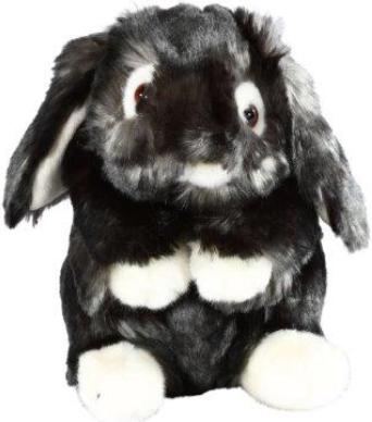 Peluche
