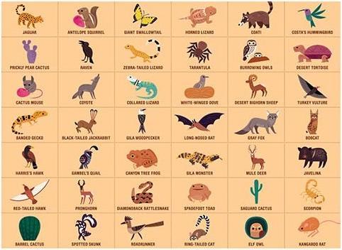 Produktbild Mudpuppy Search & Find Puzzle, Wüste (64 Teile)