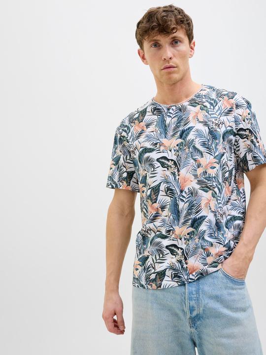 Produktbild Jack & Jones Jjebryan Aop Tee S/S O-Neck Sn (L)