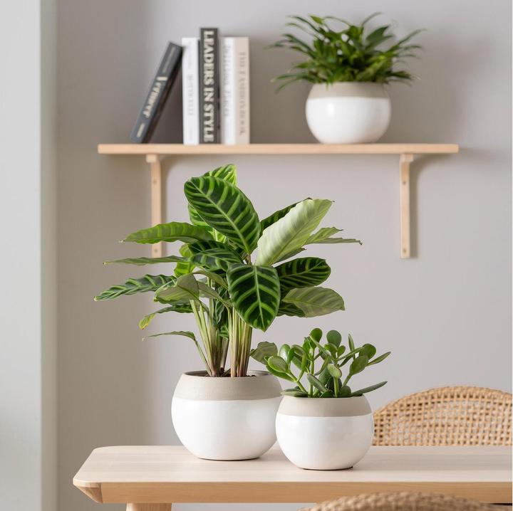 Produktbild Scheurich Blumentopf Blanco 718, 12.3 cm, Weiss, Detailfarbe: Beige (12.30 cm)