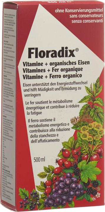 Floradix Eisen (1 Stück, Flüssigkeit, 600 g)