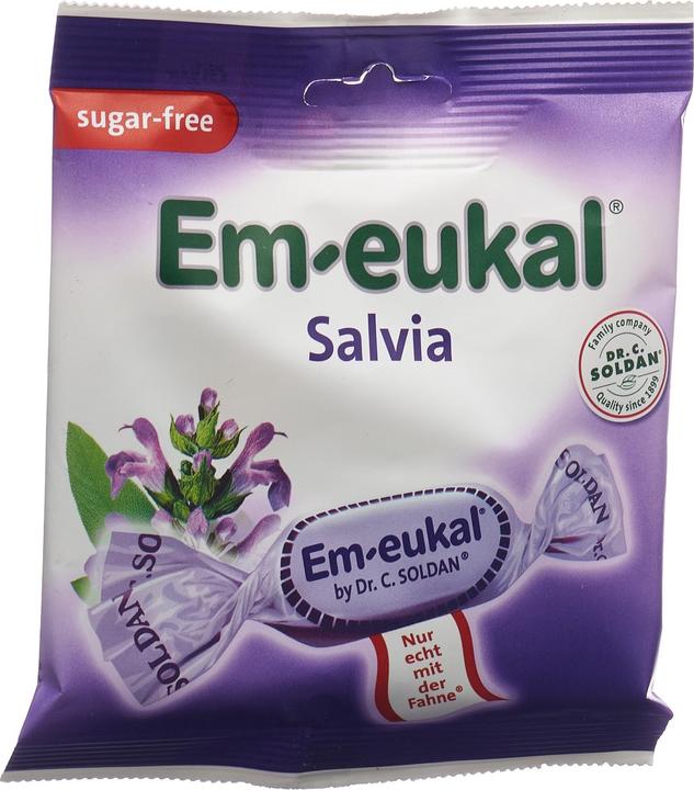 Em-eukal Salvia zuckerfrei (1 Stk., 50 g)