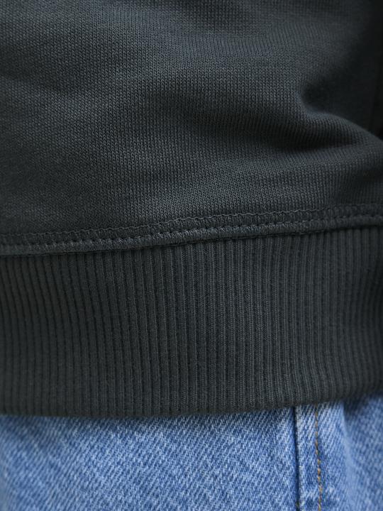 Actual product image Jack & Jones Jornorrebro Emb Sweat Crew Noos Jnr (128)