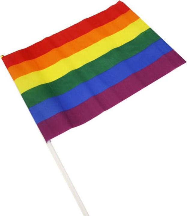 Banderin Mediano Bandera Lgbt