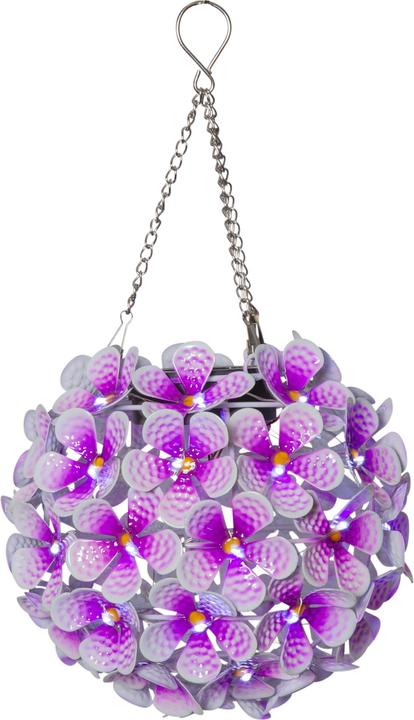 Actual product image Star Trading Hortensia (IP44)