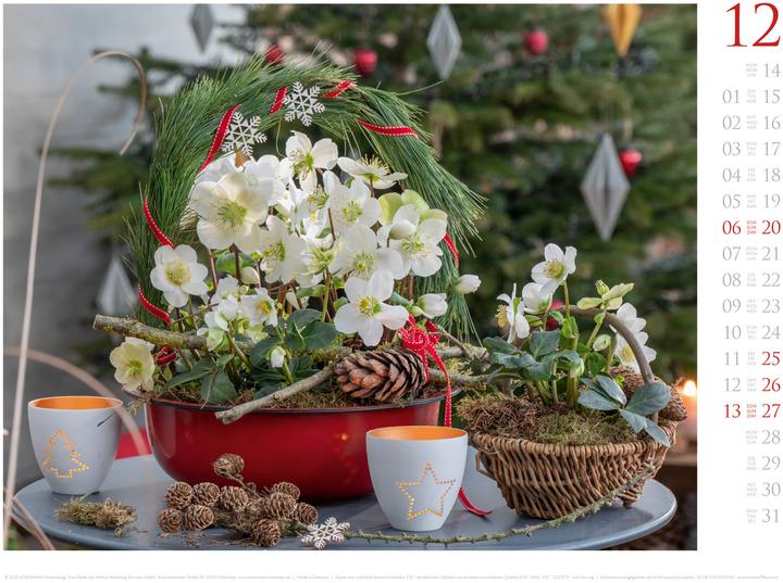 Produktbild Blumenzauber Kalender 2026 (45 x 33 cm, Deutsch, Französisch, Englisch)