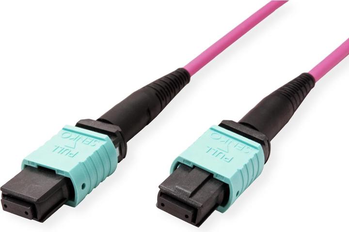 Produktbild Value MPO-Trunk-Kabel (UTP, CAT6, 5 m)