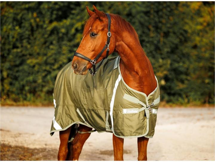 Produktbild Stallone Weidedecke 50 g Outdoor Guard (155 cm)