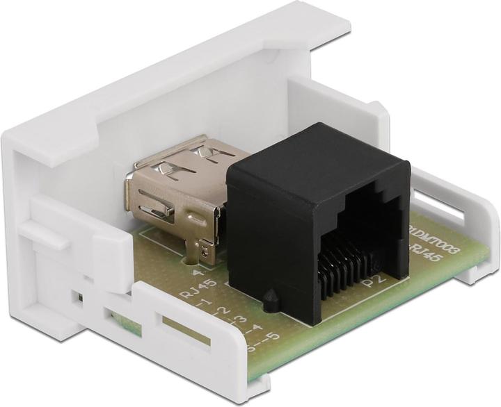 Delock Modulo Easy 45 Da presa USB 2.0 Tipo-A a presa RJ45 22,5 x 45 mm (0.03 m)