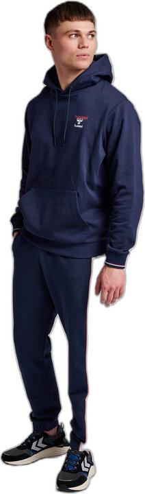Actual product image hummel Ic Dayton Hoodie (L)