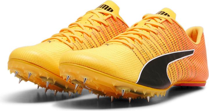 Actual product image Puma evoSPEED FUTURE 6 (44.5)
