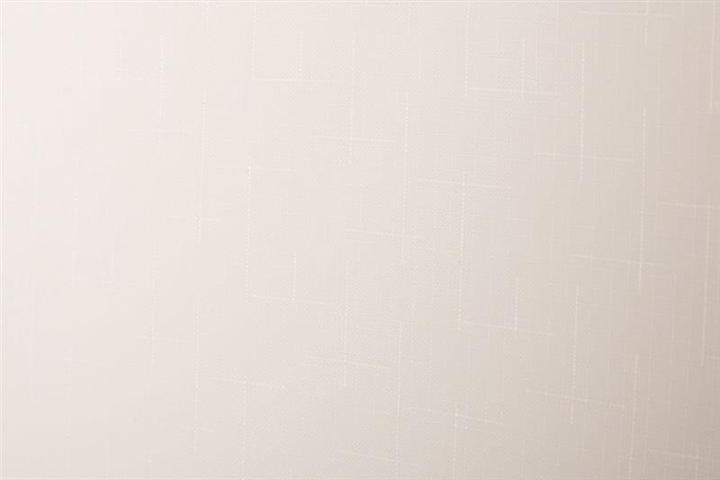 Actual product image Domoletti ROLLER BLIND SHANTUNG 875 220X170 (45 x 45 cm)