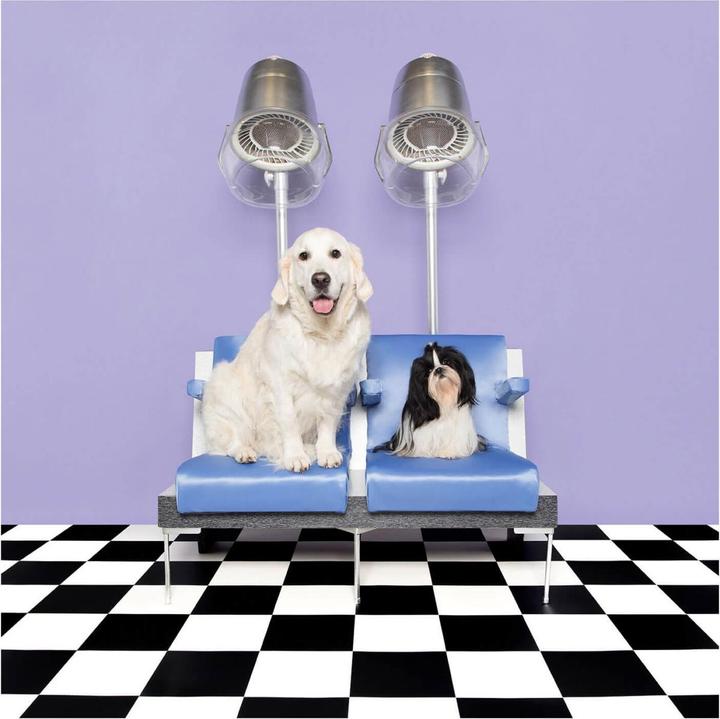 Image du produit Tangle Teezer Pet Teezer Démêlant Violet