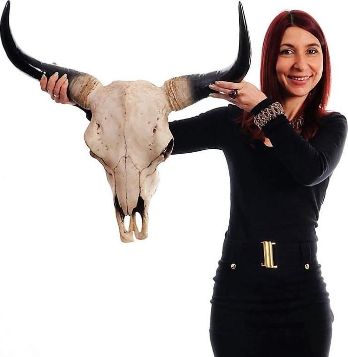 Produktbild JOHN316 Deko Schädel Longhorn (64 x 64 cm)
