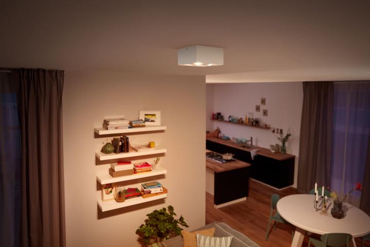 Actual product image Philips Box WGD LED Spot Ws 4flg. 2000lm (2000 lm)