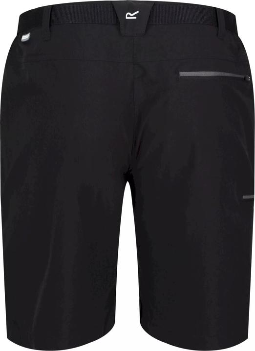 Actual product image Regatta Mens Xert III Stretch Casual Shorts (36)