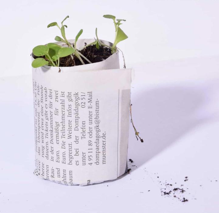 Produktbild Dobar Papiertopf-Presse
