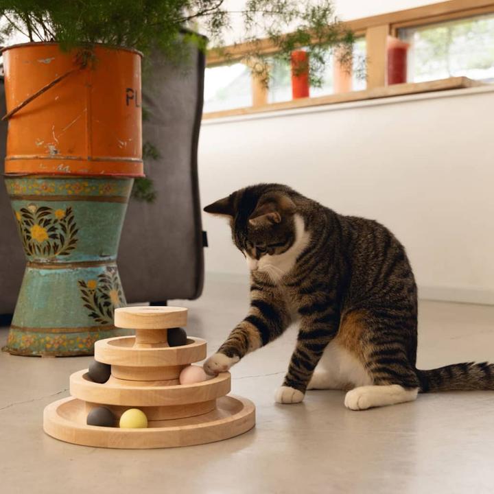 Actual product image Designed by Lotte Mia (Cat ball toy)