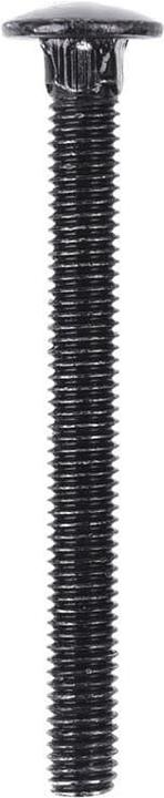 Alphacool Eiskoffer - carriage bolt M5 x 50 hexagon socket pan head