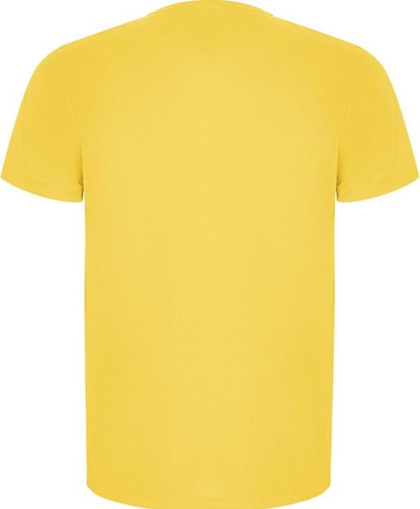 Immagine prodotto Alpinia Imola Maglietta Sportiva Maniche Corte Uomo (3XL)