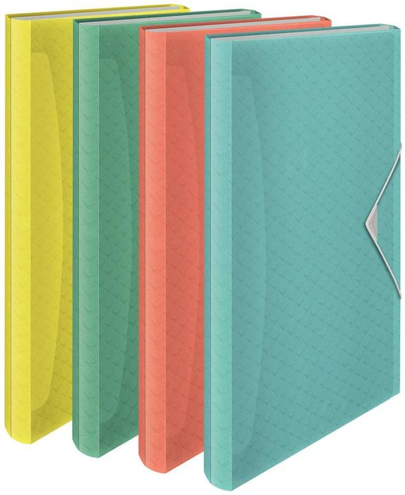 Actual product image Esselte Project folder (A4, 1 x)