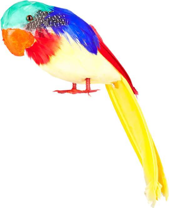 Actual product image Boland Piraten Papagei