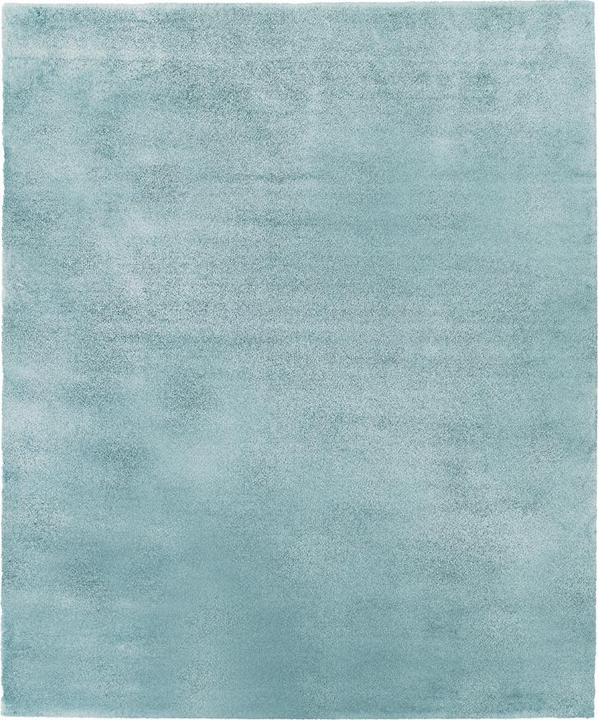 Image du produit Johann Jakob Louise (120 x 180 cm)