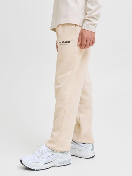 Actual product image Jack & Jones Relaxed Fit Hosen Junior Relaxed Fit Hosen (176)