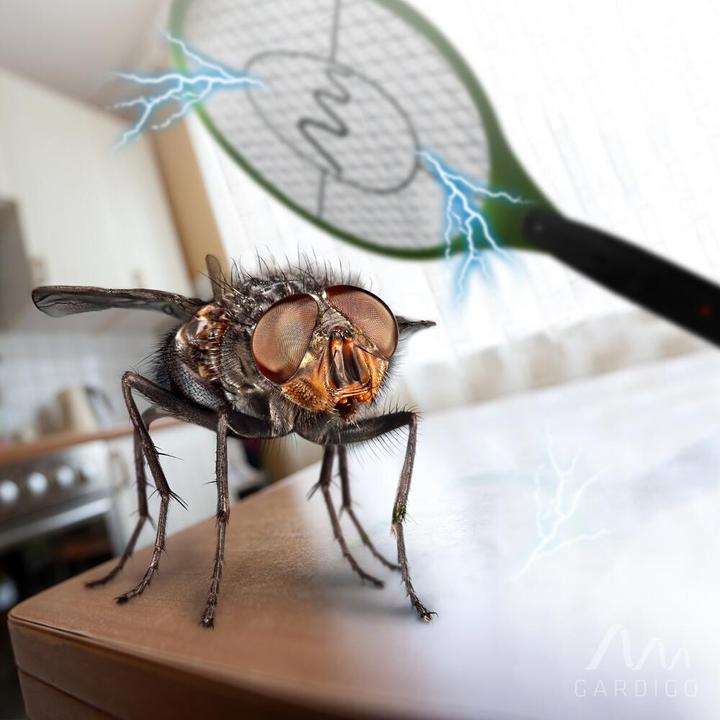 Produktbild Gardigo Elek.Fliegenklatsche Bzzz
