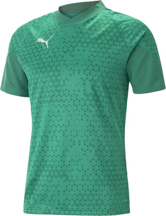 Puma teamCUP Training Jersey (XS)