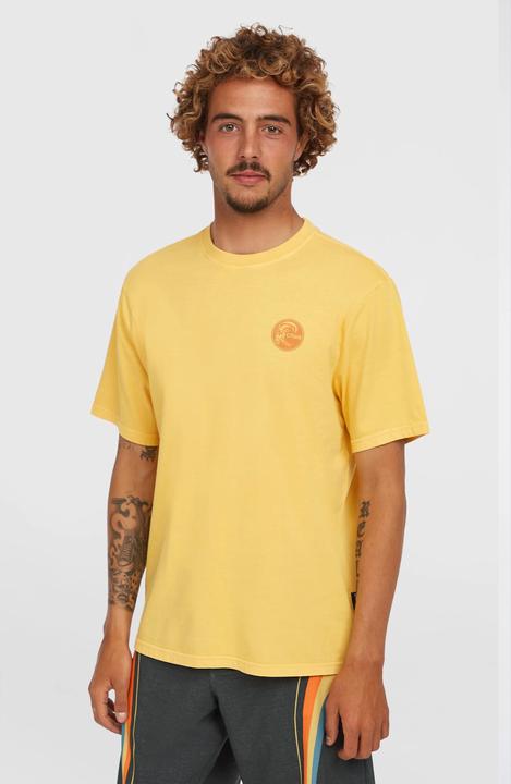 Actual product image O'Neill O'Riginals Vintage Graphic T-Shirt (S)