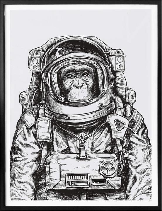 Actual product image Trenddeko Space Monkey (50 x 60 cm)