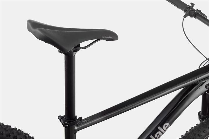 Produktbild Cannondale Trail SL 3 Black Pearl