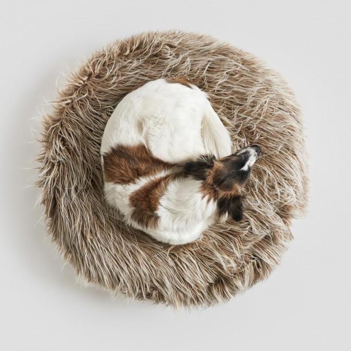 Immagine prodotto Cloud 7 Pouf Yeti (Cane)
