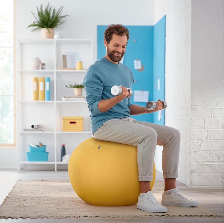 Produktbild Leitz Ergo Cosy Active Sitzball (65 cm)