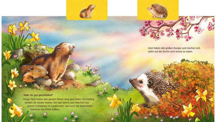 Produktbild Was machen die Tiere im Frühling? (Anna Karina Birkenstock, Deutsch)
