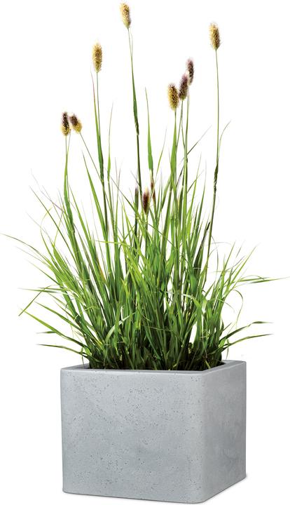 Produktbild Scheurich Alea (29.50 cm)