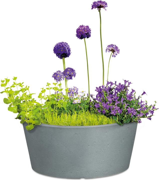 Produktbild Scheurich C-Cone Bowl (39 cm)