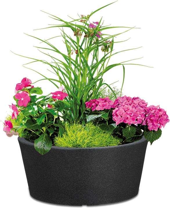 Produktbild Scheurich C-Cone Bowl (39 cm)