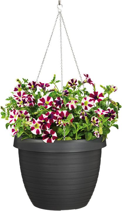 Immagine prodotto Scheurich Stella del paese (29 cm)