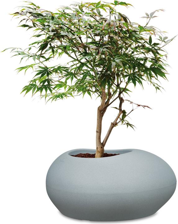 Actual product image Scheurich Plant container 280 (38 cm)