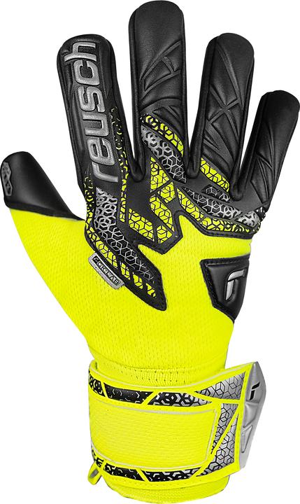 Produktbild Reusch Attrakt Gold X NC (6)