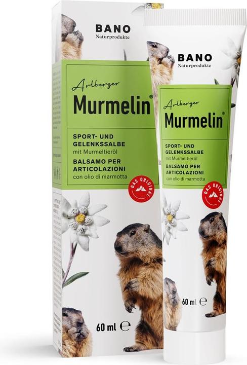 Actual product image Murmelin Sports and joint ointment ointment (1 x, 60 ml)