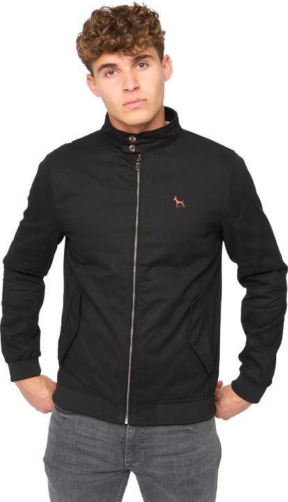 Bewley & Ritch Tavistock Jacke Harrington
