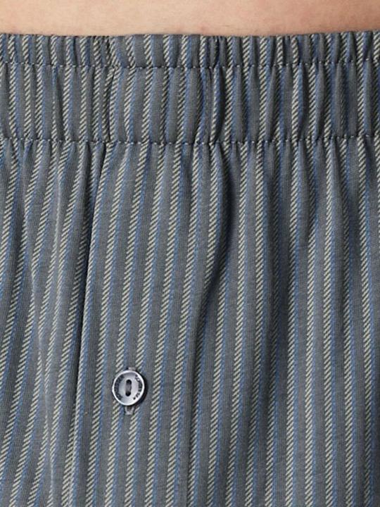 Actual product image Schiesser Boxer Basic (9, pack of 2)