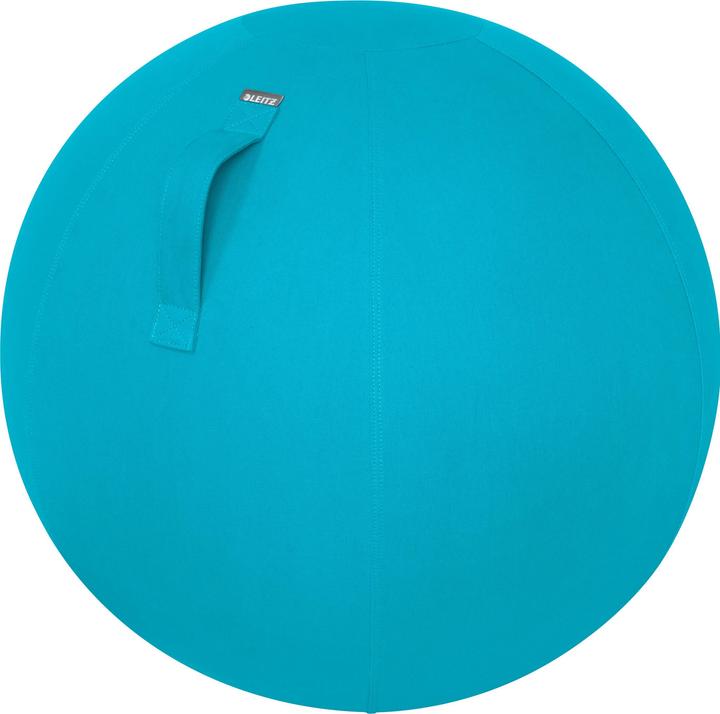 Leitz Ballon-siège Ergo Cosy Active (65 cm)