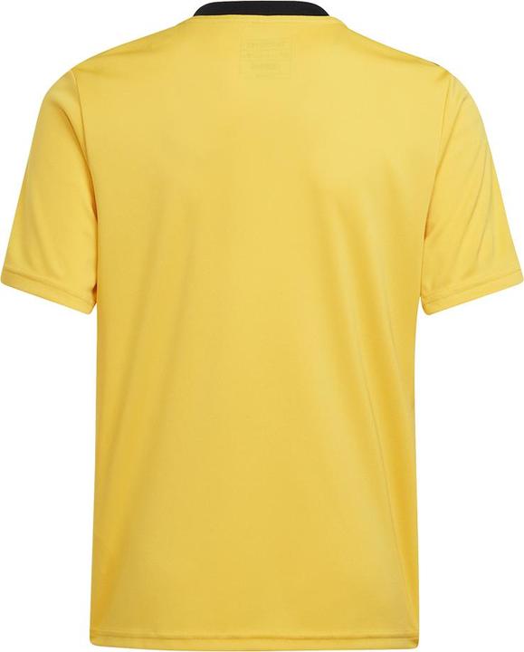 Image du produit adidas Team Icon 23 Maillot (164)