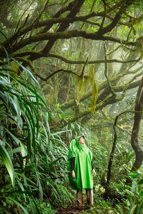 Produktbild Sea To Summit Tarp Poncho (One Size)